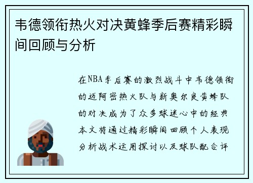 韦德领衔热火对决黄蜂季后赛精彩瞬间回顾与分析